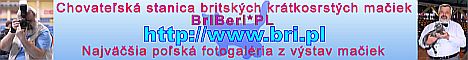 banner_-bri-pl.jpg