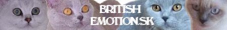 banner_-britske-macky-wz-cz.jpg