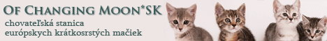 banner_-changingmoon-eu.gif
