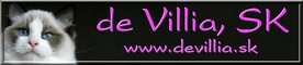 banner_-devillia-sk.jpg
