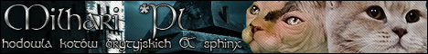 banner_-milhari-pl.jpg