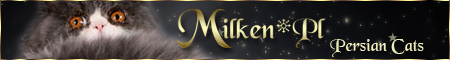 banner_-milken-pl.jpg