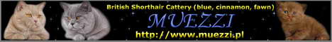 banner_-muezzi-pl.jpg
