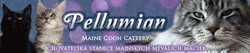 banner_-pellumian-sk_.jpg