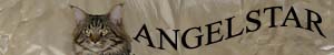 banner_angelstar-estranky-sk.jpg