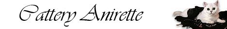 banner_britishcats-ucoz-ru.jpg